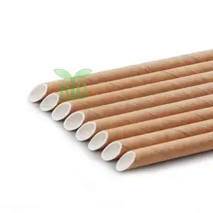 Best Price Eco Friendly Biodegradable Reusable Bamboo Straw Customized Logo Best Alternative Metal Paper Plastic Pla Straws