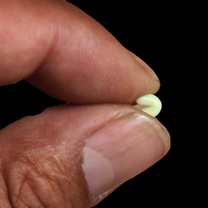 Ensemble de perles d'espacement cylindriques <span class=keywords><strong>en</strong></span> silicone 7+1 bleu beige pour la pêche au sturgeon géant, accessoires de pêche avec fil de <span class=keywords><strong>montage</strong></span> - Product Image 2