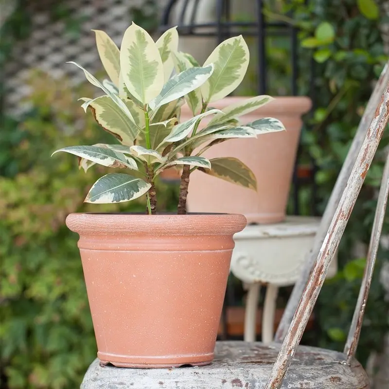 Оптовая продажа, выдувной литой садовый креативный Современный домашний декор терракотовый 10 дюймов, уличный пластиковый цветочный горшок для растений