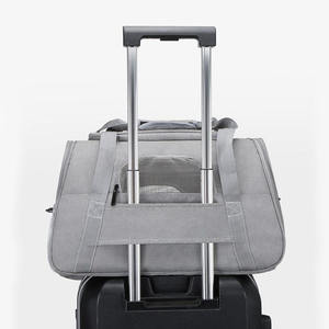 Mở rộng thoáng khí mềm hai mặt Polyester lưới không gian lớn khóa điều chỉnh xách tay hợp thời trang sang trọng đa chức năng vật nuôi tàu sân bay - Product Image 3