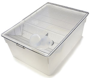 Jaula de roedores modelo popular de PP-R1, portadores de animales para cría con botella de PP de 500ml - Product Image 4