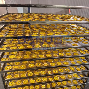 Séchoir à pompe à chaleur le plus vendu pour citrons, machine de déshydratation de tranches de citron, équipement de séchage - Product Image 5