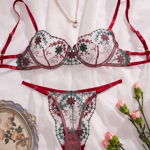 Ensemble de lingerie classique en dentelle brodée, sexy et confortable, deux pièces, vêtements pour femmes - Product Image 1