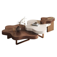 Appartement moderne en bois de placage peinture table basse créative nuage salon table centrale conception de combinaison unique
