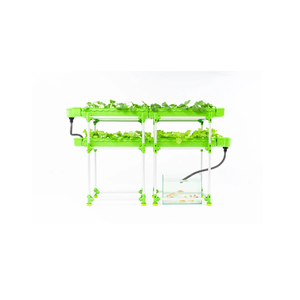 Conjunto de sistema acuapónico de dos capas de marca Popular, invernaderos agrícolas grandes versátiles, doble capa, tecnología verde versátil - Product Image 1