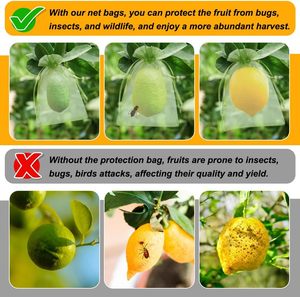 Fruit Protection Bags, 4x6 Inch Green Strawberry <b>Netting</b> Covers, Drawstring <b>Mesh</b> Bags, Pest Barrier for Blueberries - Product Image 3