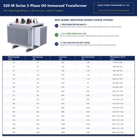 Transformateur de distribution immergé dans l'huile S20 6,6 kV Triphasé 1000 kVA Économie d'énergie Faible perte Bobinage en cuivre 50 Hz Gansu Vitesen