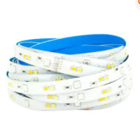Bande LED flexible à longue durée de vie, 12V CC, indice de protection IP65, contrôlée par Wi-Fi, avec puces SMD2835, 60/120 LED/m, garantie 3 ans