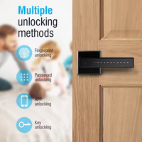 Cerradura Digital Inteligente Te'an de 26 Años de Experiencia ODM, de Aleación de Zinc, con Huella Dactilar y Contraseña, Manija Eléctrica para Puertas de Aluminio