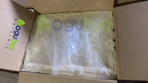 Chất lượng hàng đầu chưa tinh chế Bơ ca cao miễn phí mẫu số lượng lớn bơ ca cao/Bơ ca cao tự nhiên - Product Image 3