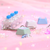 Millan ASMR Fidget Keyboard Switch with Mechanical Click Sound Interactive Light-Up Keycap Plastic Keychain Fidget Keychains