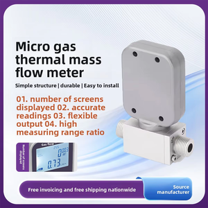 Medidor de Vazão de Gás Térmico com Display Digital RS485 500 L/min para Ar Comprimido, Nitrogênio, Oxigênio, Argônio com Sensor de Boia e Controlador - Product Image 3