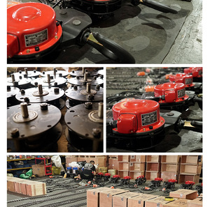 Polipasto Eléctrico de Cadena Tipo DHS Nuevo en Existencia, 5 Toneladas, 10 Toneladas, 1 Tonelada, para Taller, Grú<span class=keywords><strong>a</strong></span> de Elevación con Cadena - Product Image 6