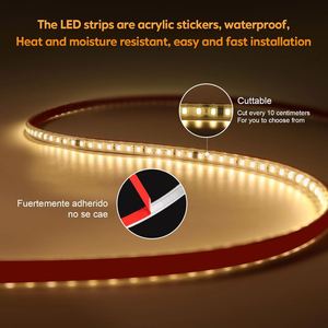 12V/24V IP68 Waterproof 8mm Outdoor LED Strip Lights with CRI95 Dimmable Smart Control Multi-Color Options - Product Image 3
