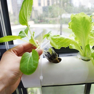 <span class=keywords><strong>Balcon</strong></span> Machine de plantation de légumes Système hydroponique multi-niveaux mural Trou de drainage Culture sans sol Pot de fleur - Product Image 3