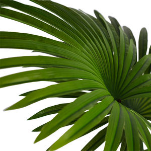 Palmier <span class=keywords><strong>tropical</strong></span> artificiel très vendu, 120 cm, en plastique, pour mariage, maison, fruits, palmiers verts, palmier en pot, intérieur, résistant aux UV - Product Image 3