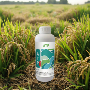 Phân bón phốt pho và kali, sức đề kháng và thân cây mạnh mẽ, tăng hạt và năng suất lúa - Product Image 3