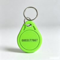 Individueller RFID-Schlüsselanhänger aus ABS für Zugangskontrolle mit Logo für Türeintritt
