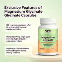 Capsules de glycinate de magnésium en gros OEM, 120 unités, 500 mg, complément alimentaire en vrac, marque privée pour la distribution