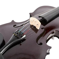 Instruments à cordes avancés professionnels Huasheng 1/4 1/2 3/4 4/4 1/8 violon en tilleul avec étui à bas prix