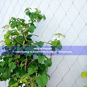 Longue durée de vie <span class=keywords><strong>France</strong></span> 1.5 Mm 120*120 Mm Ss Treillis métallique pour l'escalade des plantes de jardin - Product Image 3