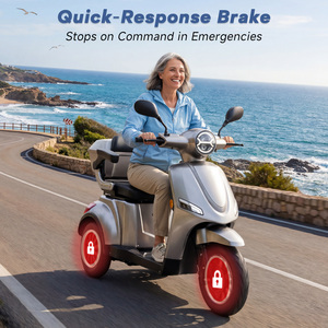 Scooter de Mobilité EEC à 3 Roues avec Port de Charge Unique, Tricycle Électrique, Phare à Haute Luminosité pour Personnes Âgées - Product Image 4