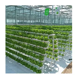 Landwirtschaft NFT Salat Hydro ponik Anbaus ysteme Aeroponik vertikal für Gewächshaus farm