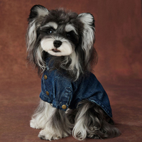 Nouvelle veste en jean pour chien, design tendance, vêtements pour animaux de compagnie