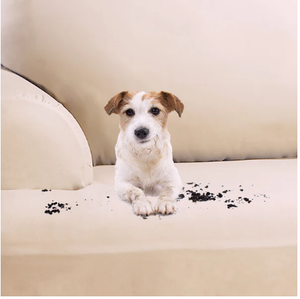 Commercio all'ingrosso di lusso Look di lino 1 sedile divano fodera su misura per mobili protettore <span class=keywords><strong>con</strong></span> bracciolo copertura per divano e sedia - Product Image 6