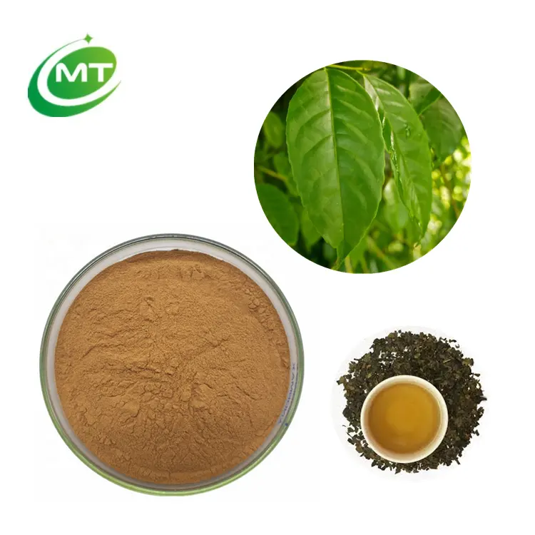 Estratto di foglie di Guayusa della migliore qualità estratto di tè Ku cha in polvere estratto di Ilex Guayusa
