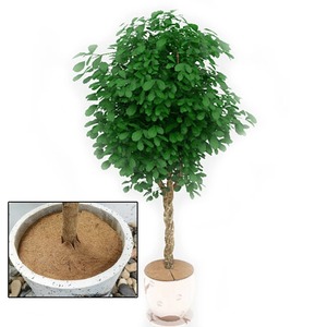Couverture de paillis en fibres de coco naturelles pour arbres, tapis protecteur 25/30/35/40cm, disque pour pot de fleurs, contrôle des mauvaises herbes, coussin de chaleur et d'humidité - Product Image 4
