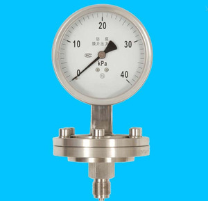 सस्ती कीमत चीन स्टेनलेस स्टील में बने सर्वश्रेष्ठ डायाफ्राम सील दबाव गेज - Product Image 3