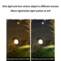 Projecteur LED solaire pour jardin, éclairage de chemin au sol, étanche IP65, style pierre, en résine, pour extérieur