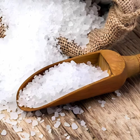 Organic Certified Bulk Natural Harvested Sea Salt 100% Pure Food Seasoning for Food Cosmetic Industry OEM ODM