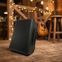 Amplificador de Guitarra Recargable Directo de Fábrica con Bluetooth y Dos Micrófonos Inalámbricos para Busking y Grabación de Contenido