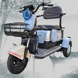 Services personnalisés, transport de marchandises, moto électrique pour passagers, tricycle électrique à <span class=keywords><strong>3</strong></span> <span class=keywords><strong>roues</strong></span> pour adultes, grande capacité de batterie - Product Image 4