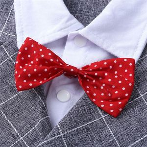 Conjunto de Ropa de Verano para Bebés Niños, Camiseta de Algodón Barata, con Chaleco y Pantalones Cortos, de Proveedor Chino - Product Image 3