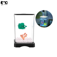 Kit de Démarrage d'Aquarium LED Petit Mini Geerduo pour Poissons Combattants, Crevettes et Poissons Rouges