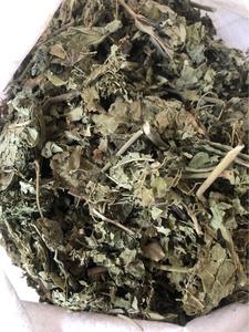 Feuilles séchées d'<span class=keywords><strong>Hibiscus</strong></span> <span class=keywords><strong>mutabilis</strong></span> (<span class=keywords><strong>Hibiscus</strong></span> <span class=keywords><strong>mutabilis</strong></span>) pour herboristerie - Product Image 2