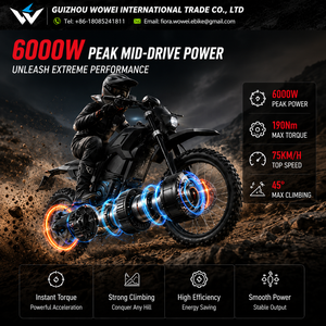 Moto tout-terrain électrique à moteur central haute performance 190 Nm, 72 V 25 Ah Lithium 6000 W sans balais, pour adultes, aventure extrême hors route - Product Image 2