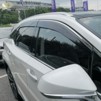 Pare-soleil de fenêtre pour LEXUS RX 350 400h RX 200t 2015 2016 avec garniture en acier inoxydable, visière de ventilation automatique, protection contre la pluie, pare-soleil