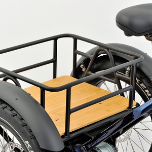 GEOBYKE Tricycle électrique à moteur central haute performance 250w, <span class=keywords><strong>3</strong></span> roues, vélo cargo électrique avec <span class=keywords><strong>Shimano</strong></span> <span class=keywords><strong>Nexus</strong></span> 7 <span class=keywords><strong>vitesses</strong></span> - Product Image 5