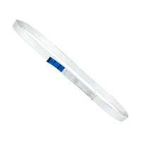 7:1 50mm 1500kg Beyaz Polyester Sonsuz Askı Kaldırma Kayışı Tek Yönlü Askı Kayışı TUV GS CE, ISO9001 Sertifikalı