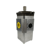 Pompa Servo Gear ECKERLE EIPC3-064RB23-10 S196 Pompa Hidrolik Mesin Cetak Injeksi