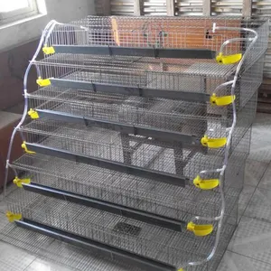 Large-Scale Automatic Farming and Animal Husbandry Equipment Battery Farming Layer Cages for Poultry Raising