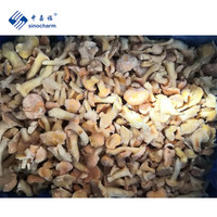 Sinocharm – nouvelle culture fraîche, prix de gros, couleur agréable, délicieuse et nutritive, Chantarelle entière congelée avec BRC-A