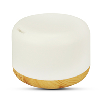 Mini humidificateur ultrasonique électrique USB en plastique, diffuseur d'huiles essentielles, aromathérapie, LED changeant de couleur, hôtel, maison, 1 an