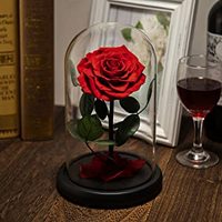 Shenniu — petit Prince, magnifique tige de Rose de la belle et la bête, dôme en verre, fleurs conservées