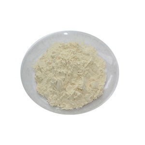 Polvo de hierba china de Grado Superior Panax ginseng raíz extracto solvente suplemento sanitario - Product Image 3