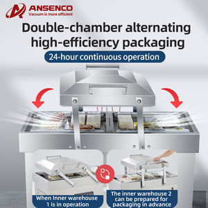 Double Chamber Electric Vacuum Packer & <b>Sealer</b> for Bread Meat Fish Vegetables Potatoes with Case/Pouch/Foil Packaging - Product Image 6